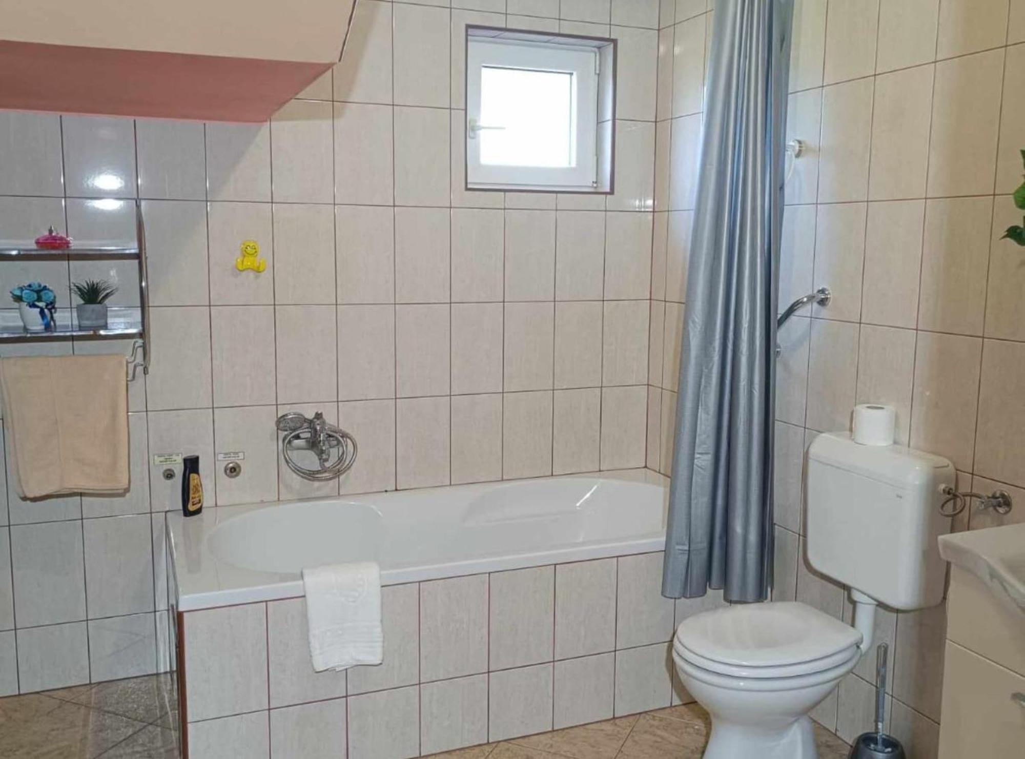 Apartmani Tea I Toni Gradiste エクステリア 写真