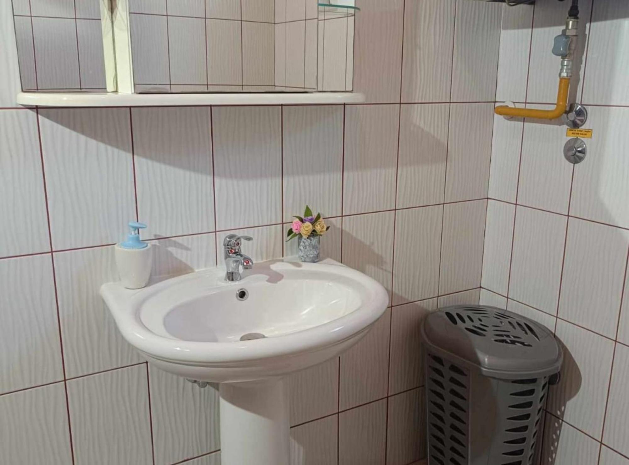 Apartmani Tea I Toni Gradiste エクステリア 写真