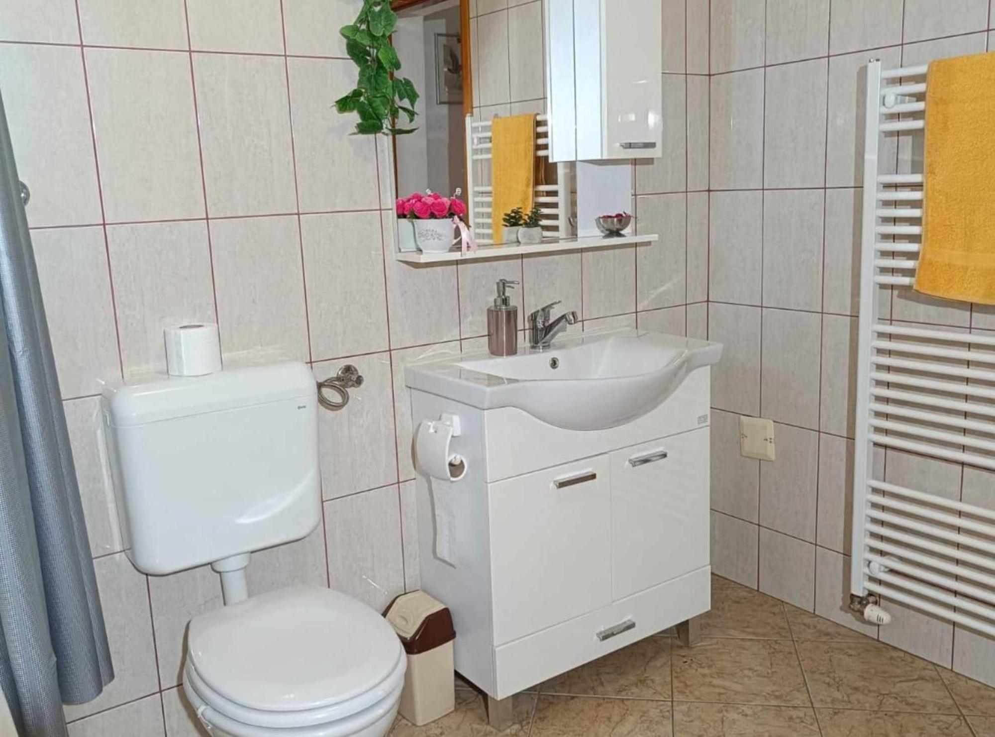 Apartmani Tea I Toni Gradiste エクステリア 写真